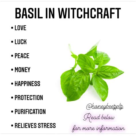 Witchy herb symbolism